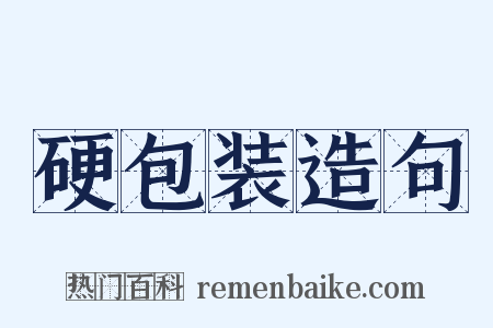 硬包装造句是什么意思的图片